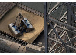 Россия в&nbsp;I&nbsp;половине сельскохозяйственного года обновила рекорд по&nbsp;поставкам зерна