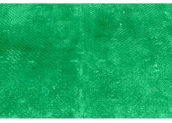 Электронные весы: инновационное решение для точного и&nbsp;быстрого взвешивания грузов на&nbsp;Птицефабрике