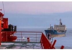 Исторический рекорд Севморпути: объем грузоперевозок за&nbsp;2023 год превысил 36,254 млн тонн