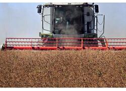 В&nbsp;новых регионах в&nbsp;2023 году собрано 4,8 млн тонн зерна