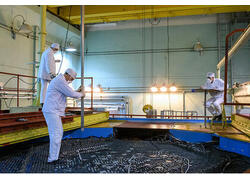 Быстрая работа: в&nbsp;Обнинске запустили модель самого мощного в&nbsp;мире бридера