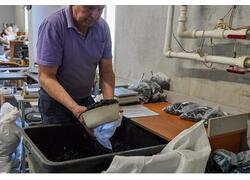 &laquo;Технопласт&raquo;. Как производят отечественную фурнитуру для гражданской и&nbsp;спецодежды?