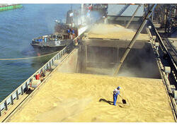 Россия в&nbsp;2023&nbsp;г.&nbsp;установила рекорд по&nbsp;экспорту зерна