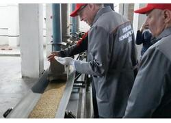 &laquo;Лузинский комбикормовый завод&raquo; запустил производство экспандированной полножирной сои