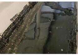 На&nbsp;базе ББЗ MonsterFilter НЦК было разработано решение для рыбоводного предприятия.