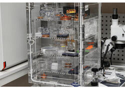 Создано первое скоростное компактное устройство для квантового процессора