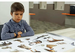 &laquo;Теневая&raquo; технология: как работает сенсорный экран без экрана?