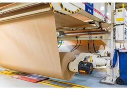 За&nbsp;два месяца 2024 года производство бумаги в&nbsp;Москве выросло более чем в&nbsp;4 раза