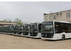 Воронеж выбирает НЕФАЗ