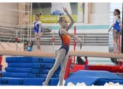 В&nbsp;Марий Эл&nbsp;открыт центр спортивной гимнастики
