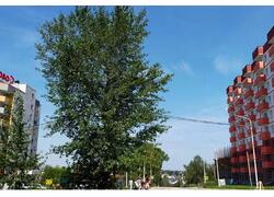 Иркутская область перевыполнила задачи национального проекта по&nbsp;расселению аварийного жилья