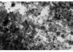 На&nbsp;Урале разработали технологию создания биосовместимых магнитных материалов.