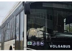 Тольятти получает новые автобусы