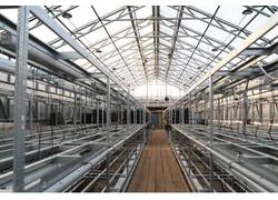 Девять современных теплиц построили в&nbsp;иркутском &laquo;Горзеленхозе&raquo;