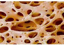 На&nbsp;борту МКС синтезировали рукотворный аналог костной ткани