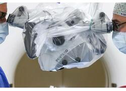 Разработан нейрон для восстановления нейросетей спинного мозга