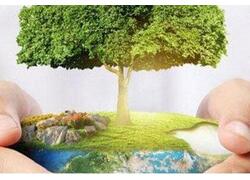 Атмосфера становится чище: выбросы вредных веществ в&nbsp;воздух снизились до&nbsp;пятилетнего минимума