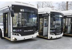 Автобусы &laquo;Волгабас&raquo; начали курсировать по&nbsp;маршруту Нижнего Тагила.