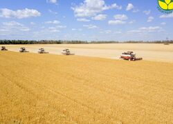 &laquo;Росагролизинг&raquo; в&nbsp;2024 году увеличил поставки техники АПК на&nbsp;четверть