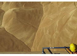 Кормилица Африки и&nbsp;Азии: куда Россия экспортировала продовольствие в&nbsp;2024 году