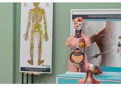 В&nbsp;столице Хакасии открыли новую школу на&nbsp;тысячу мест