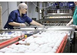 Покровская птицефабрика в&nbsp;Саратовской области ввела в&nbsp;эксплуатацию три новых цеха