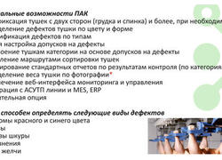 ПАК PINTegrator&nbsp;&mdash; Интеллектуальная система контроля качества туш в&nbsp;птицеводстве и&nbsp;животноводстве