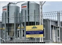 Производство инкубационного яйца индейки запустили в&nbsp;Воронежской области