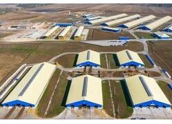 В&nbsp;Пензенской области запущено предприятие по&nbsp;переработке отходов животноводства