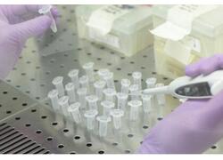 Запущено производство субстанций в&nbsp;области онкологии и&nbsp;трансплантологии