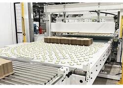 Павлово-Посадский Гофрокомбинат запустил высокотехнологичную линию плоской высечки Eterna