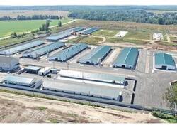 Новый репродуктор для птицеводства открыт в&nbsp;Шаховской Московской области