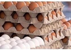 Россия впервые с&nbsp;1992 года продала куриные яйца США