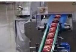 &laquo;Меридиан Автоматизация&raquo; представил роботизированный комплекс для паллетирования