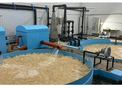 В&nbsp;Марксе запустили полный цикл производства форели