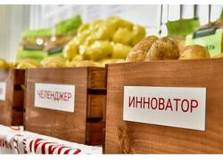 &laquo;Мираторг&raquo; открыл в&nbsp;Орловской области селекционный центр и&nbsp;картофелехранилище