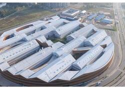 В&nbsp;России разработали технологию для создания легко управляемых протезов