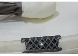 Пермские ученые создали конструктор для моделирования искусственного скелета