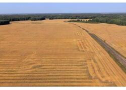 Иркутская и&nbsp;Тюменская области добились рекордного урожая в&nbsp;2025 году