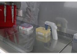 Российская вакцина против ВПЧ одобрена к&nbsp;применению для детей